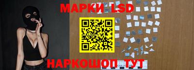 apvp Гатчина