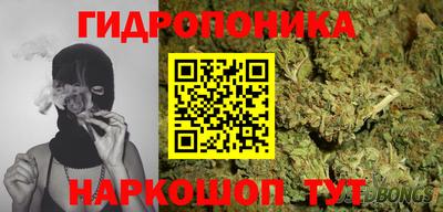 амф Гай