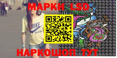 apvp Гатчина