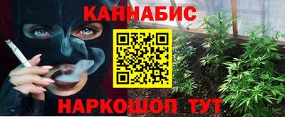 apvp Гагарин