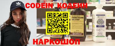 apvp Гатчина