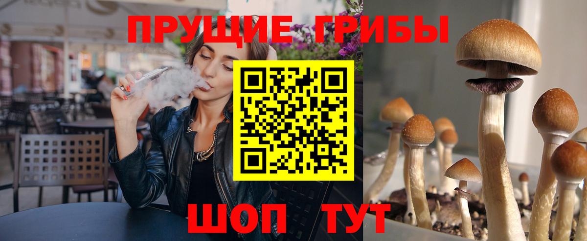 Кирово-Чепецк  сколько стоит  Вход с VPN  Псилоцибиновые грибы Psilocybe  Галлюциногенные грибы ЛСД 